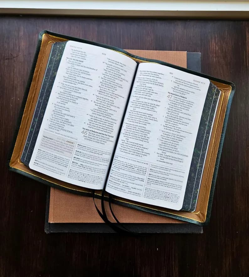 ESV Crossway Student Study Bible Rebind - Forest Green - View 3