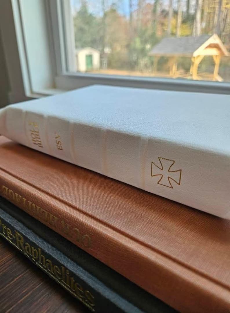 ESV Crossway Student Study Bible Rebind - View 2