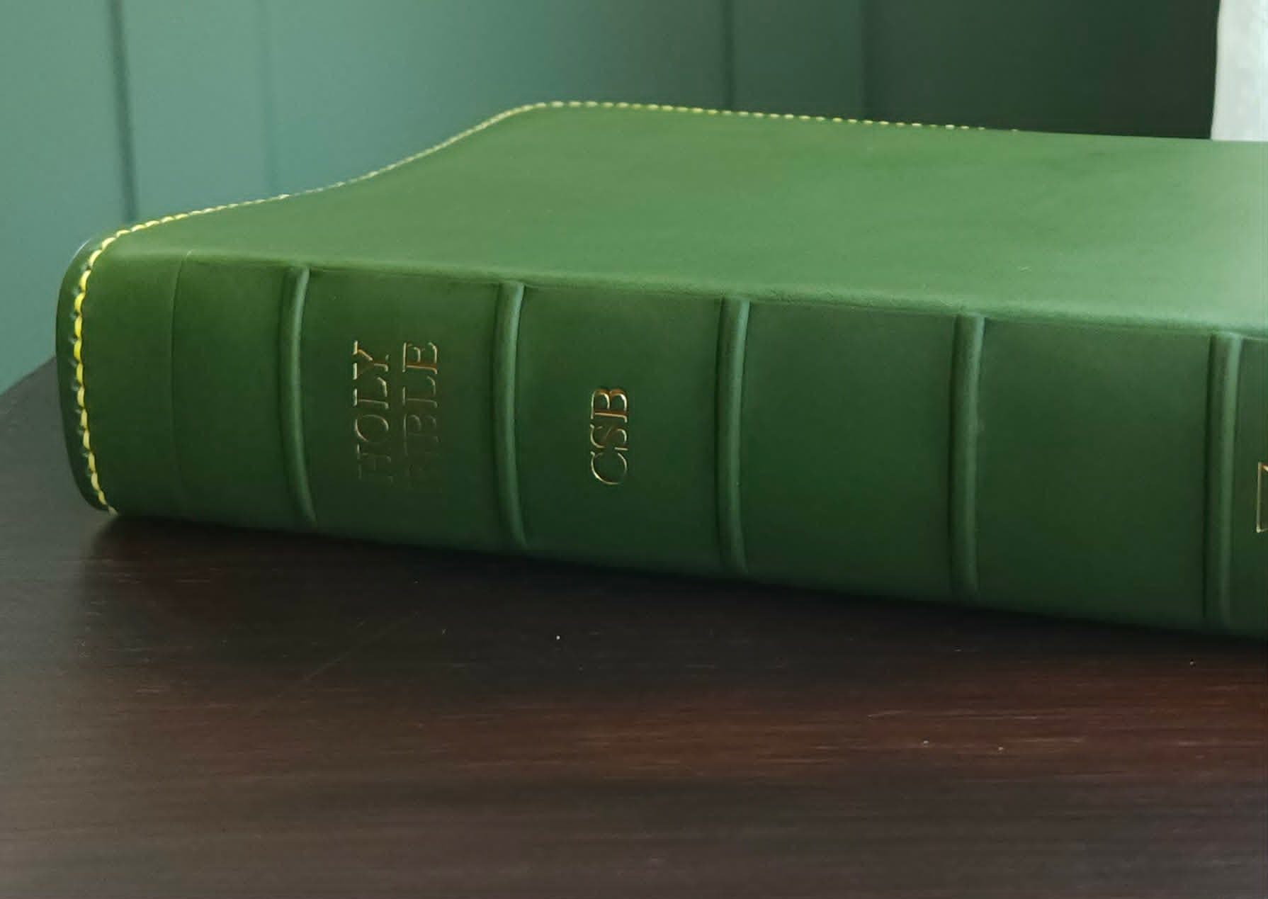 CSB Adorned Bible Rebind - Emerald view 4