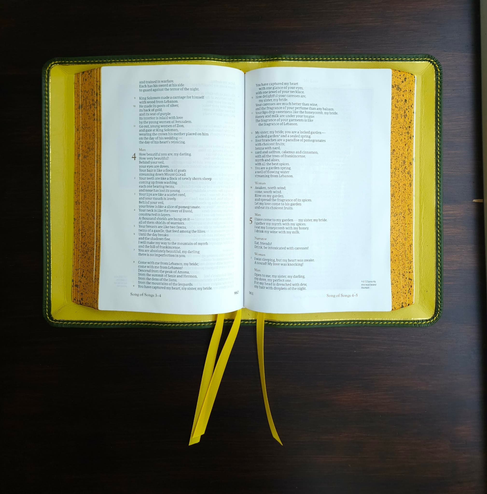 CSB Adorned Bible Rebind - Emerald view 2