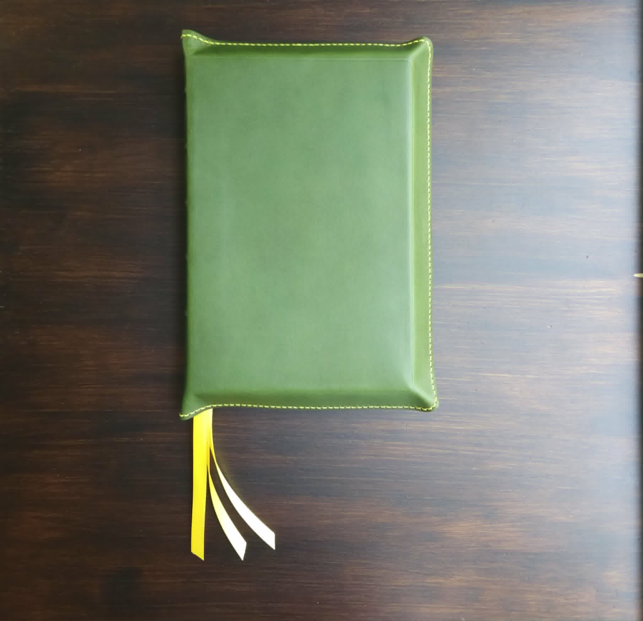 CSB Adorned Bible Rebind - Emerald view 3