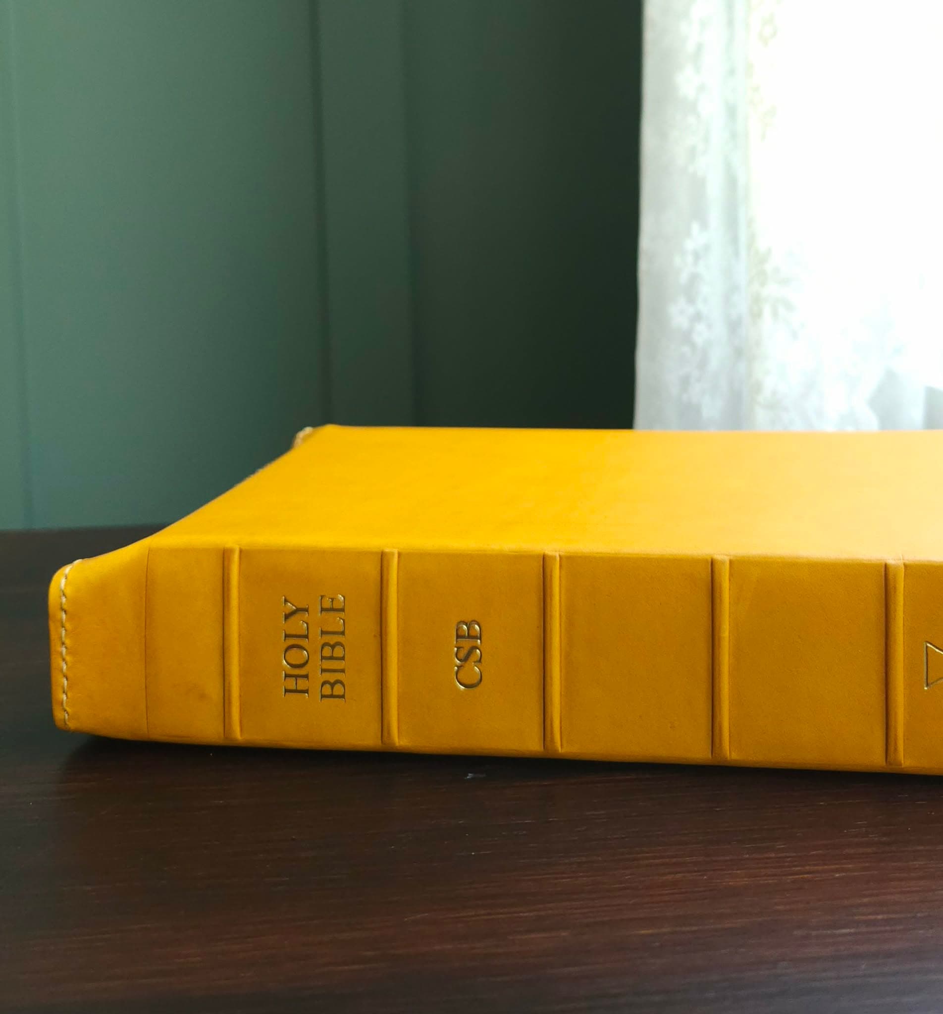 CSB Adorned Bible Rebind - Yellow view 4