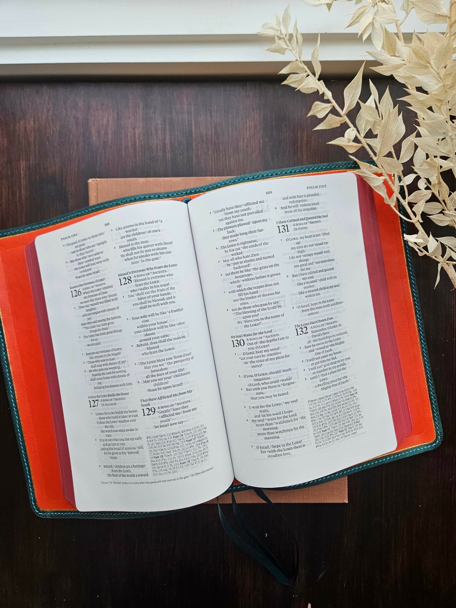 ESV Bible The Wide Margin Reference Edition/ Ortensia Pueblo view 11