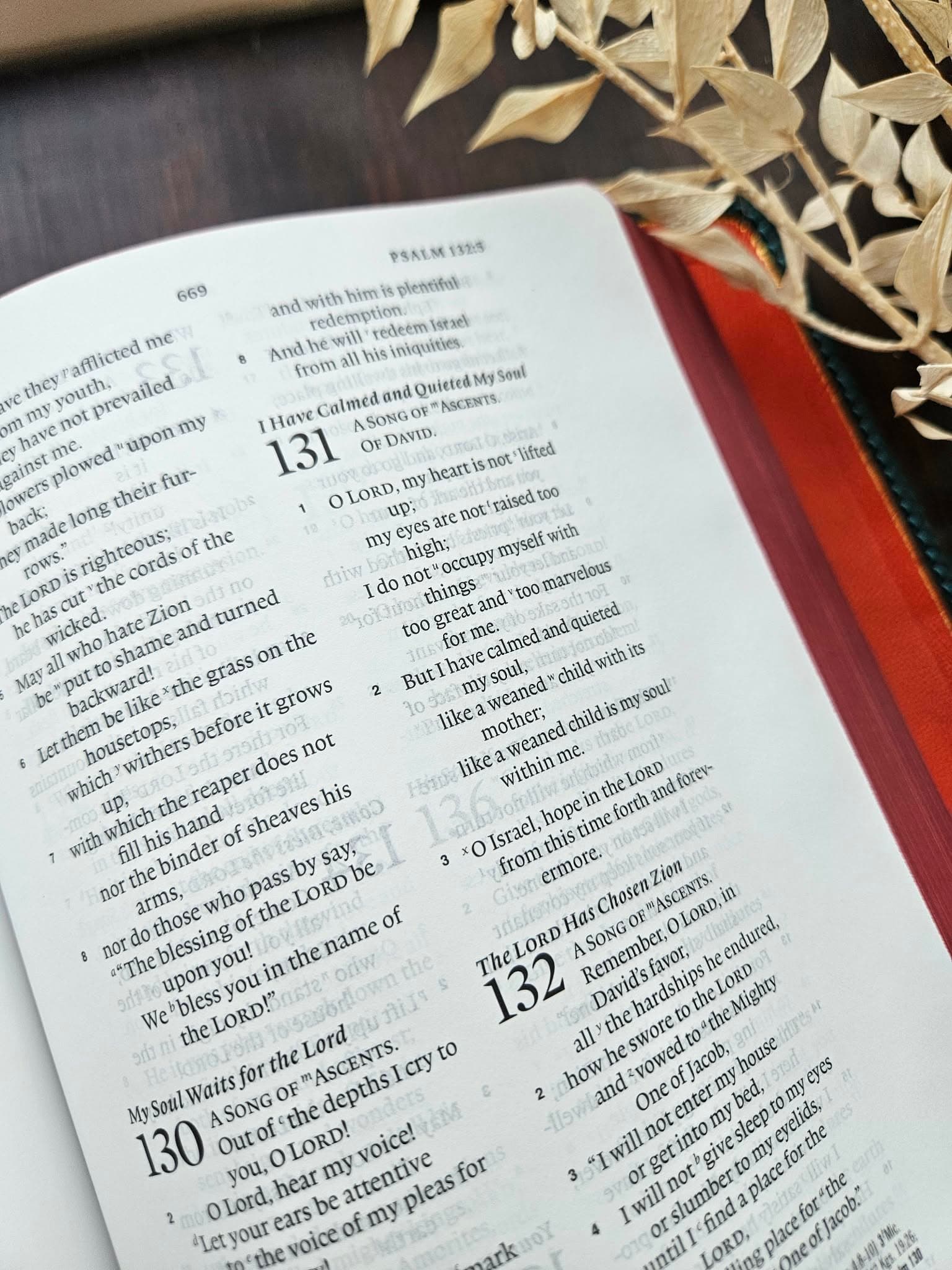 ESV Bible The Wide Margin Reference Edition/ Ortensia Pueblo view 3