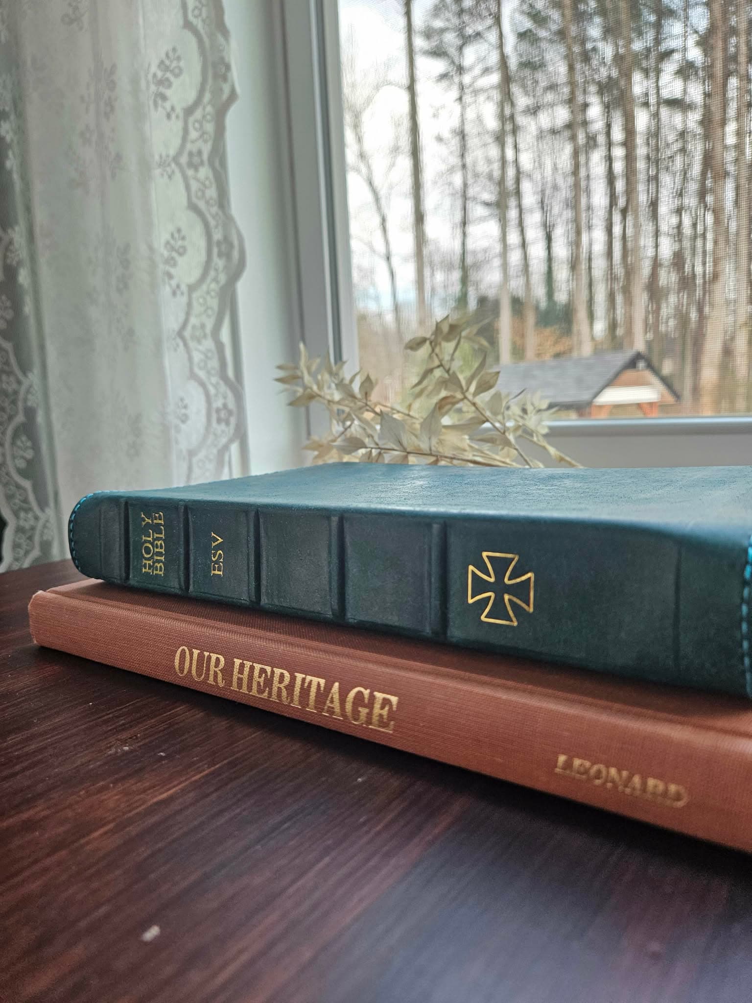 ESV Bible The Wide Margin Reference Edition/ Ortensia Pueblo view 9