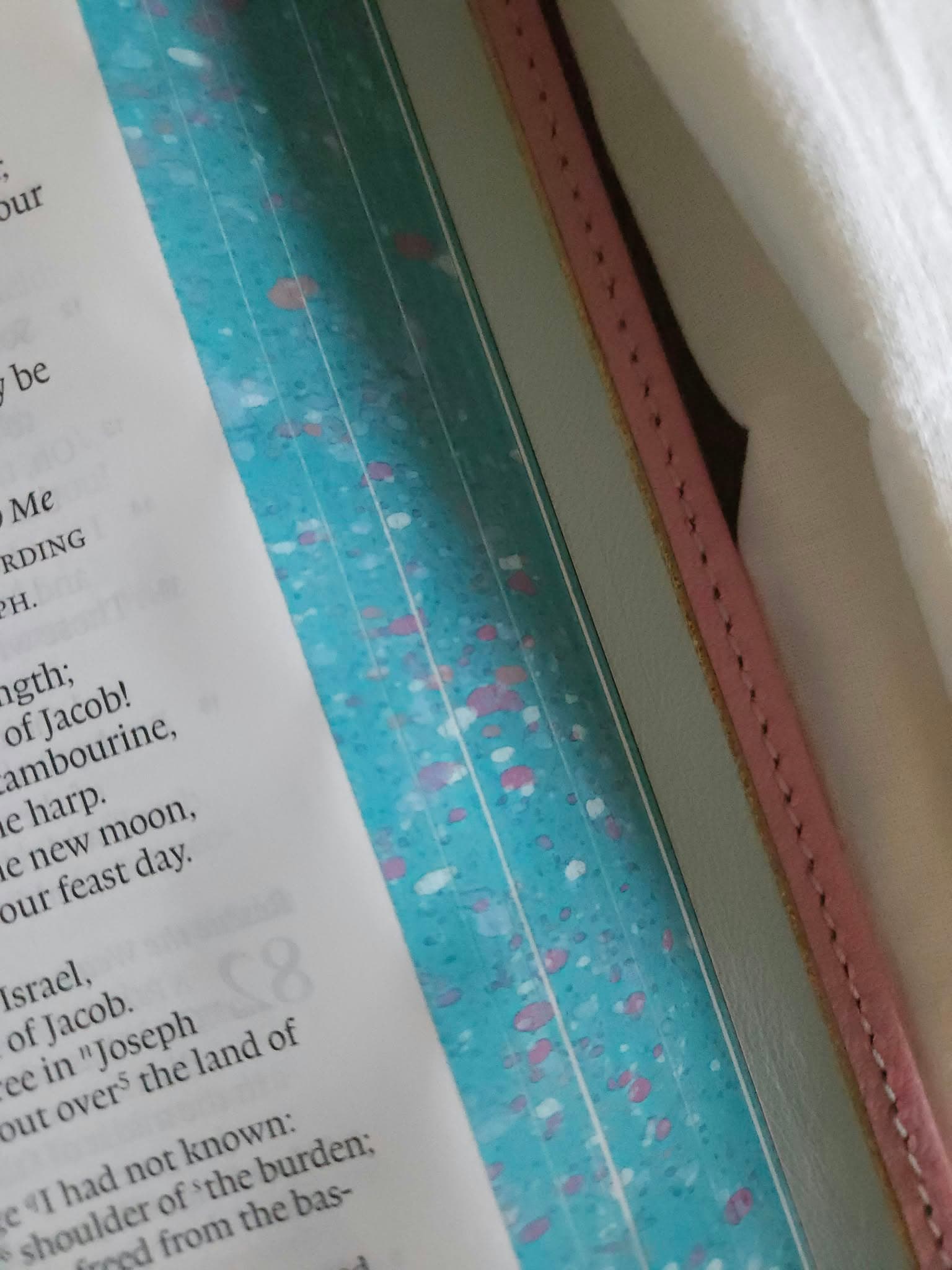 ESV Creeds and Confession Bible Rebind - Alran Sully - Rose view 4