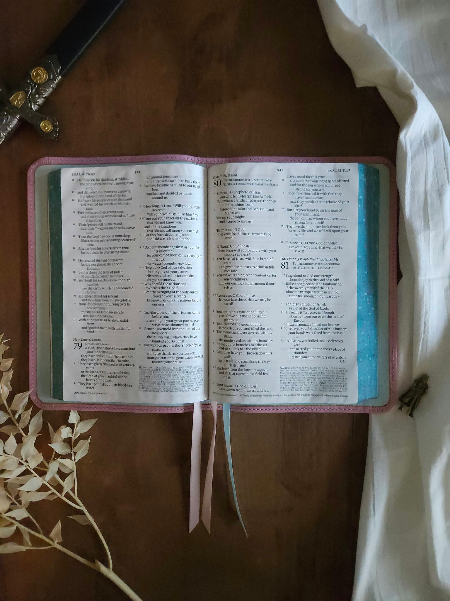ESV Creeds and Confession Bible Rebind - Alran Sully - Rose view 8