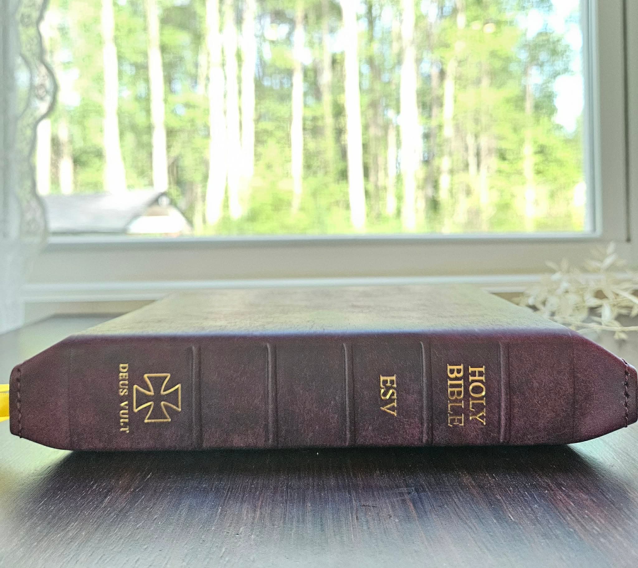 ESV Journaling Study Bible Badalassi Violet view 4