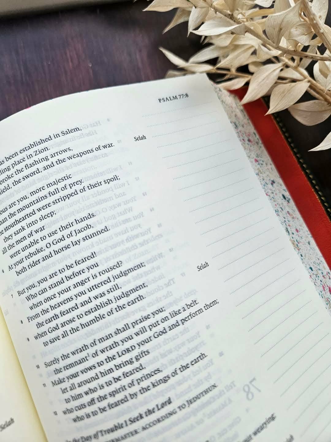 ESV Single Column Journaling Bible Rebind view 7