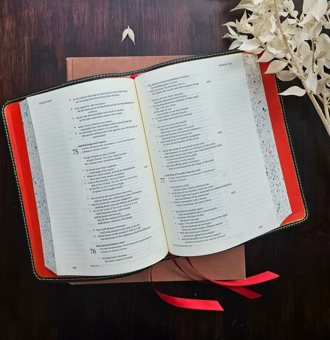ESV Single Column Journaling Bible Rebind view 10