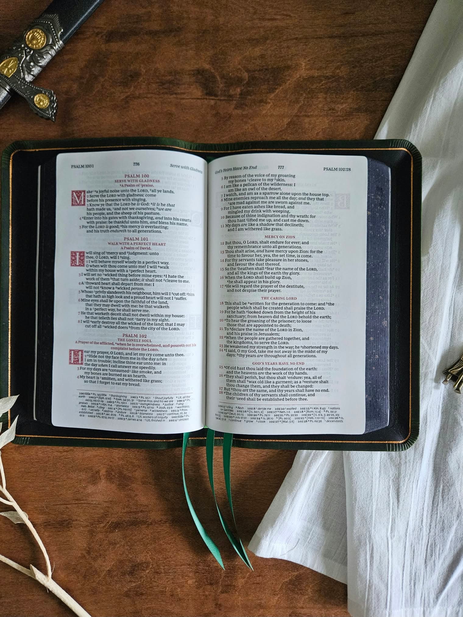 KJV, Personal Size Reference Bible Rebind, Sovereign Collection in Emerald view 5