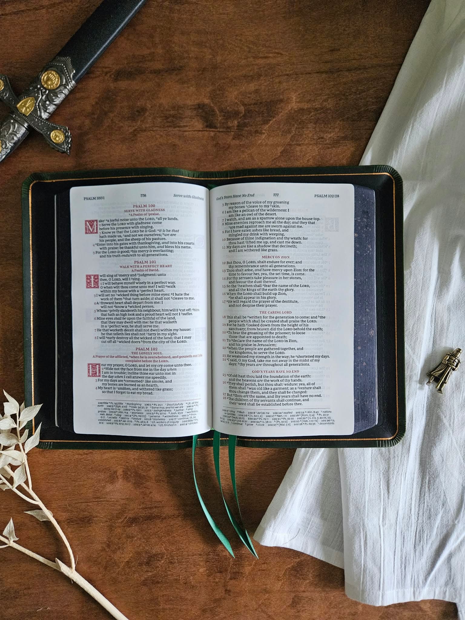 KJV, Personal Size Reference Bible Rebind, Sovereign Collection in Emerald view 11