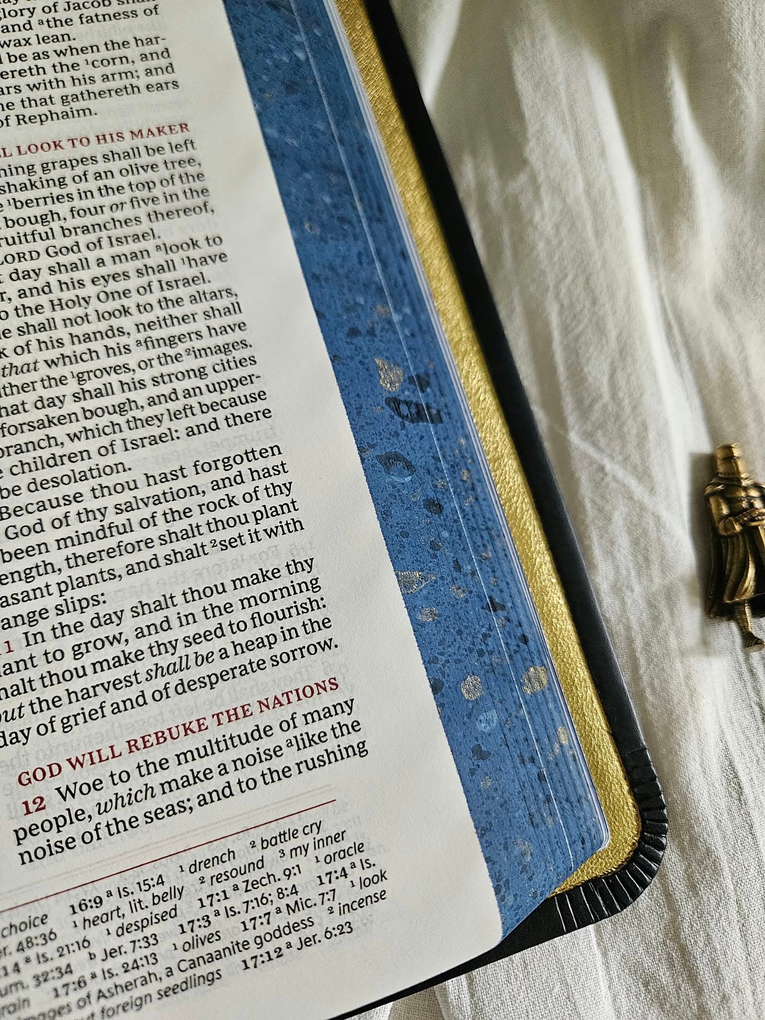 KJV, Personal Size Reference Bible Rebind, Sovereign Collection in Navy view 14