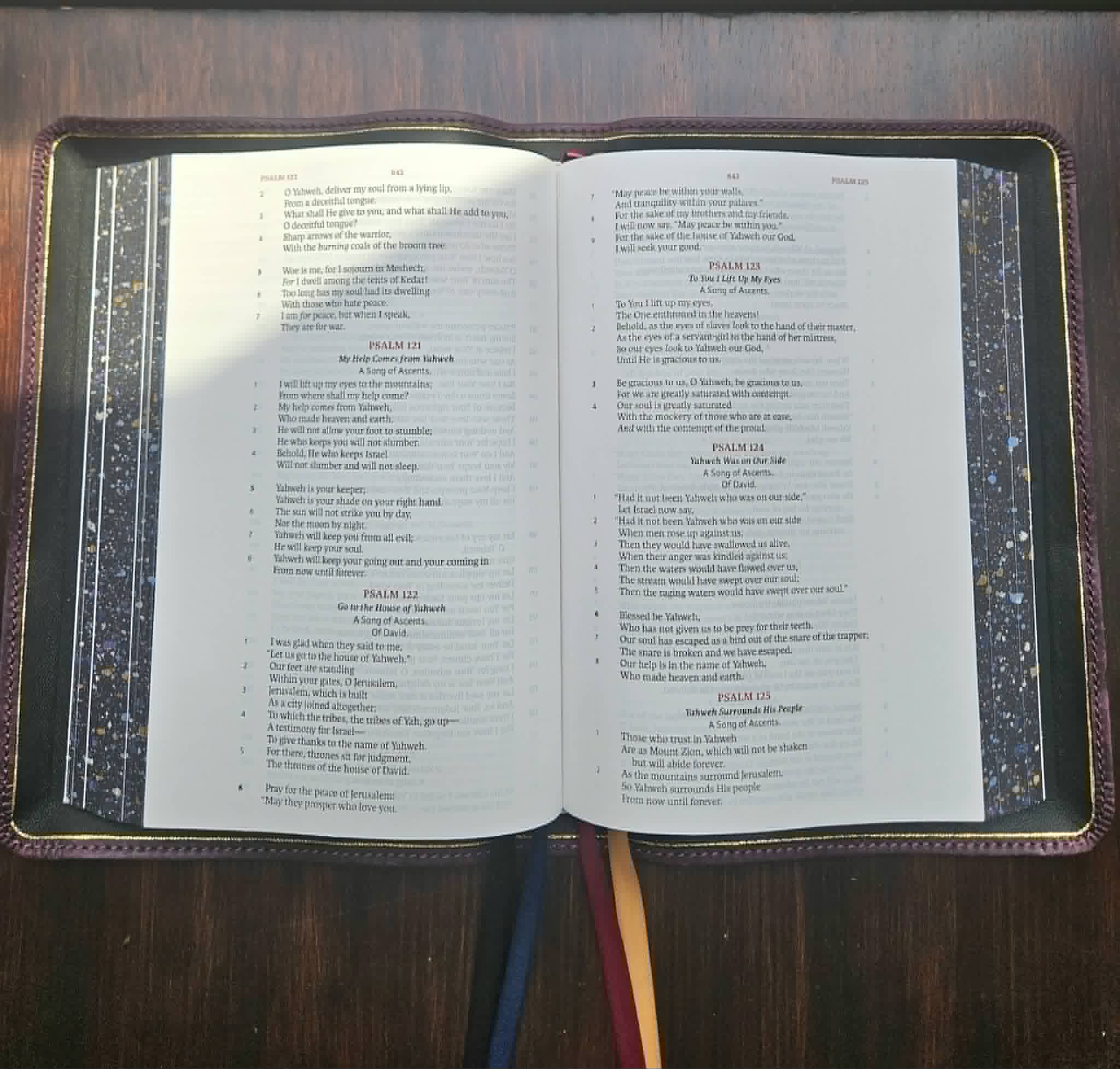 Legacy Standard Bible Rebind in Violet Badalassi Carlo - Pueblo view 4