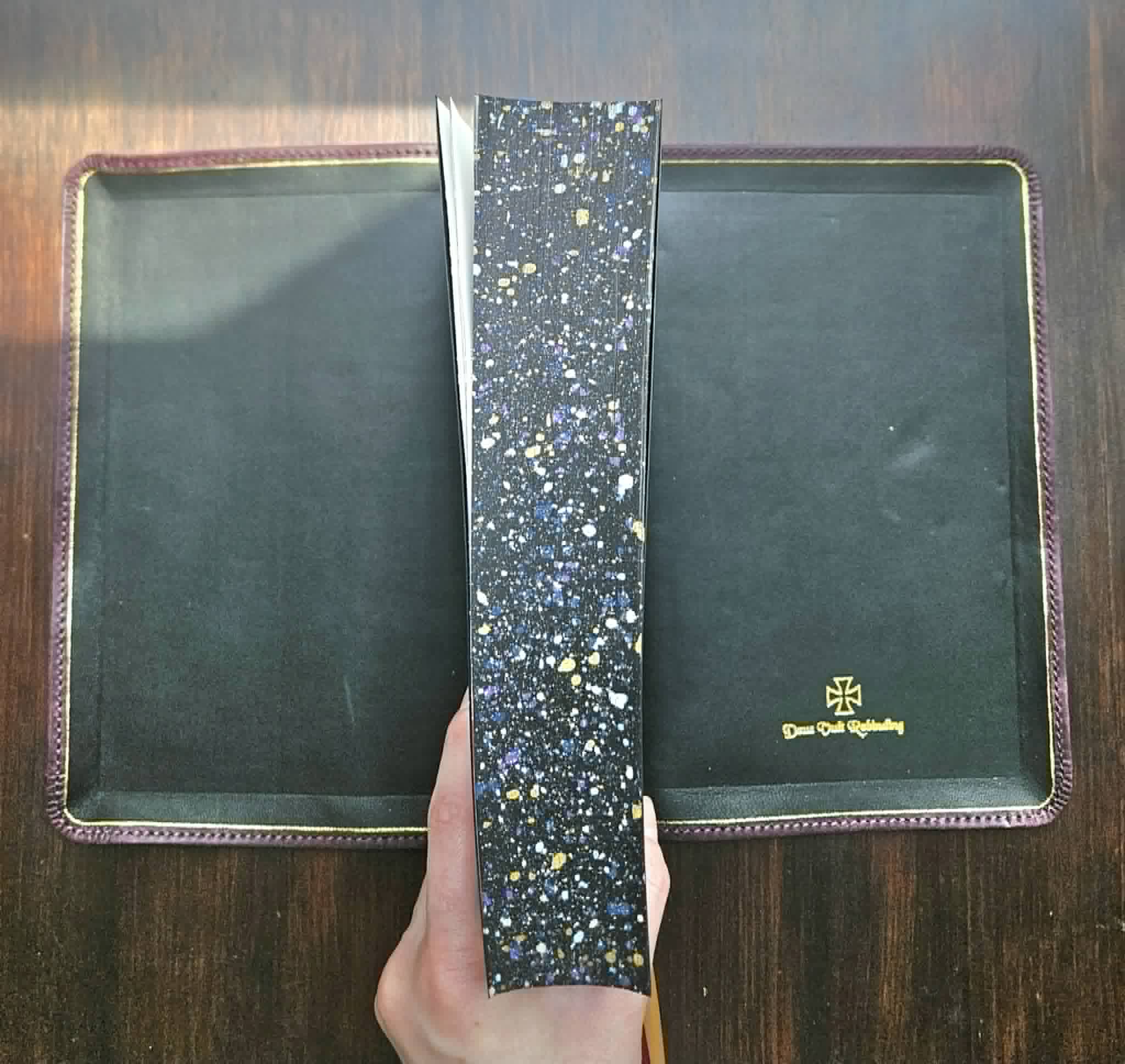 Legacy Standard Bible Rebind in Violet Badalassi Carlo - Pueblo view 5