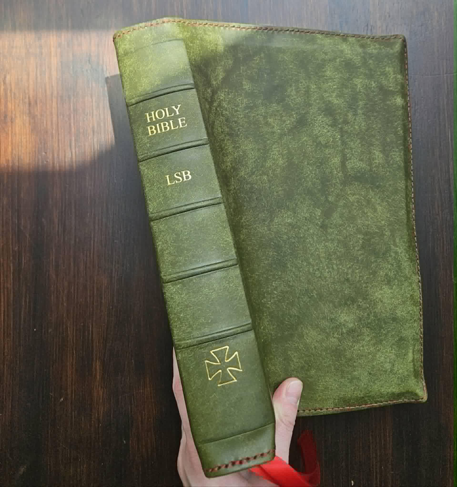 Legacy Standard Bible Rebind Olive Badalassi Carlo - Pueblo view 1