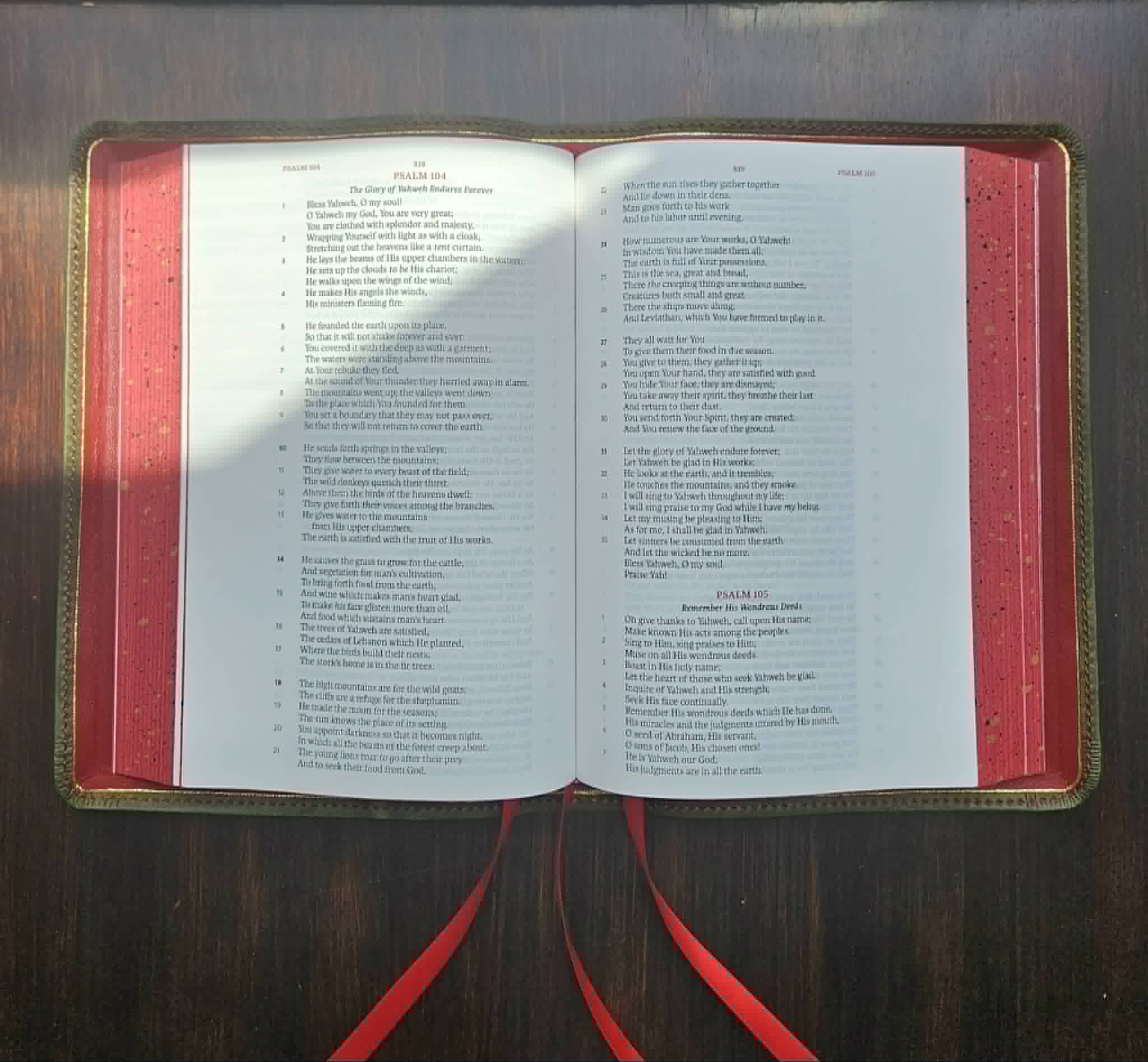 Legacy Standard Bible Rebind Olive Badalassi Carlo - Pueblo view 2