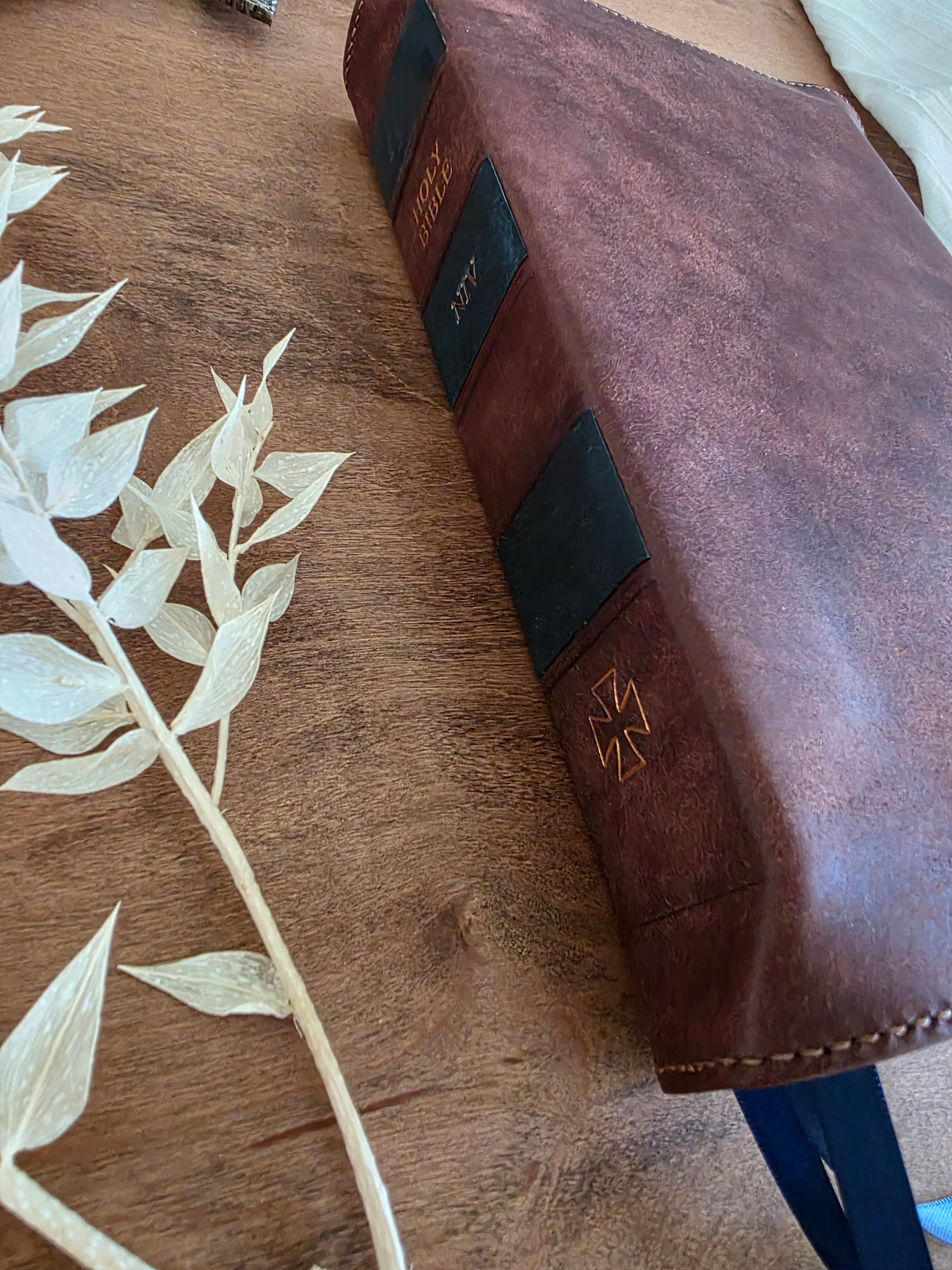 NIV, Cultural Backgrounds Study Bible view 3