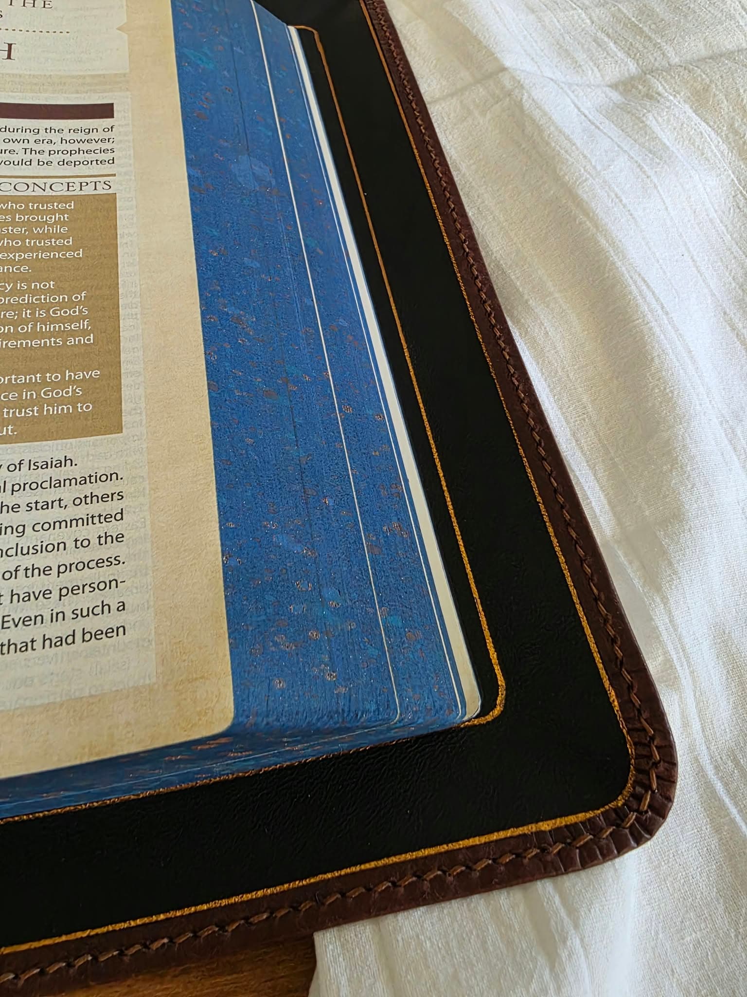 NIV, Cultural Backgrounds Study Bible view 6