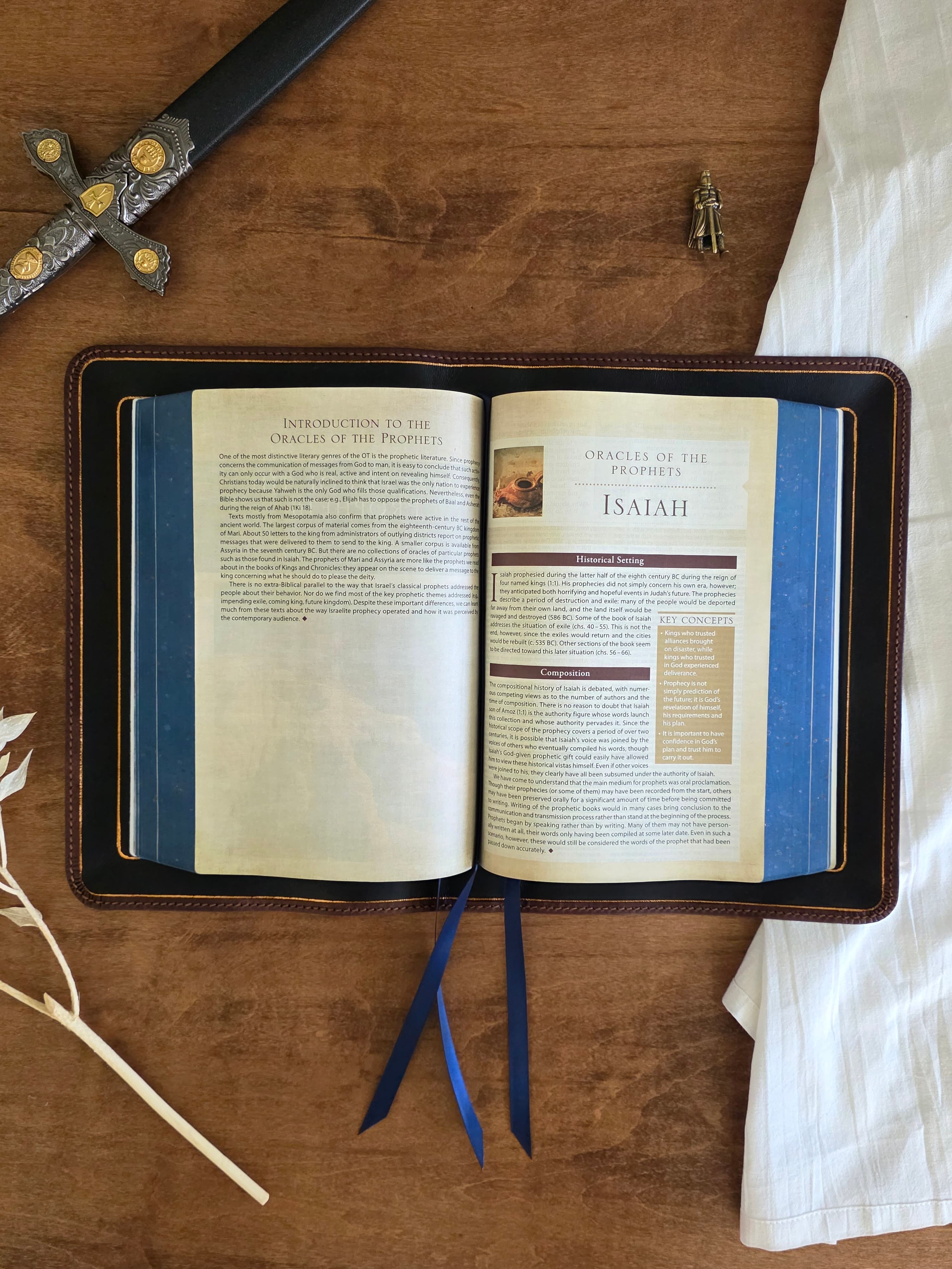 NIV, Cultural Backgrounds Study Bible view 8