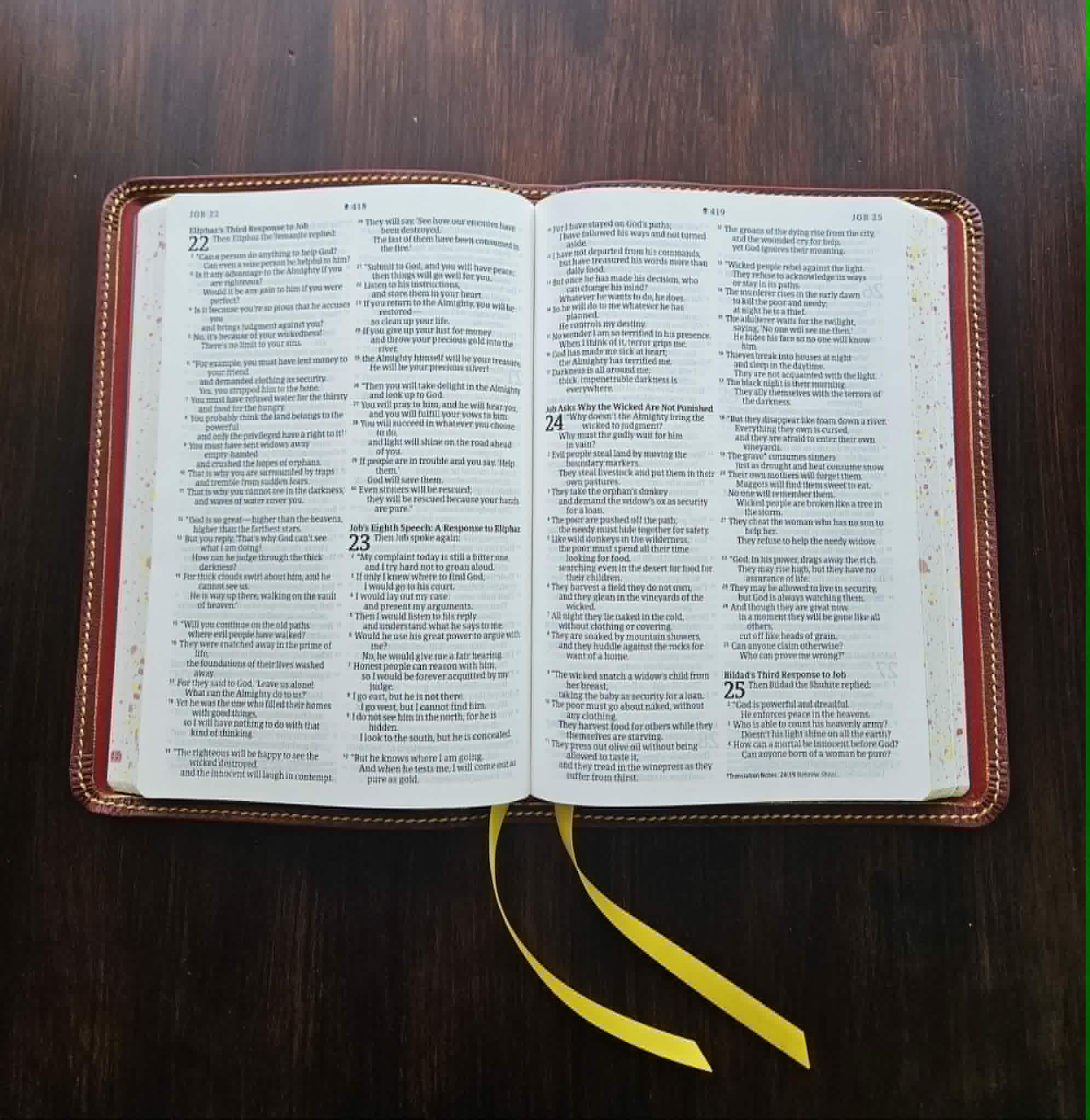 NLT Large Print Premium Value Thinline Bible, Filament Enabled view 1