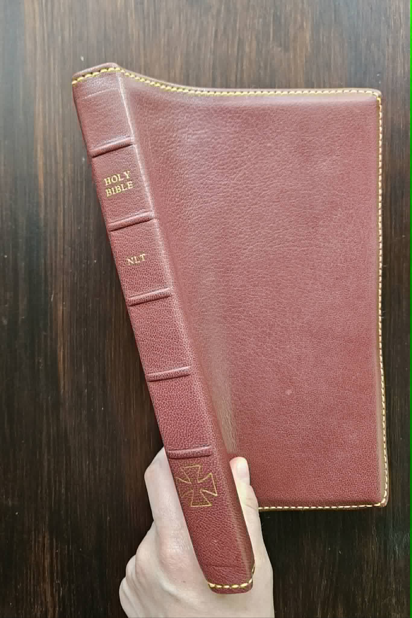 NLT Large Print Premium Value Thinline Bible, Filament Enabled view 3