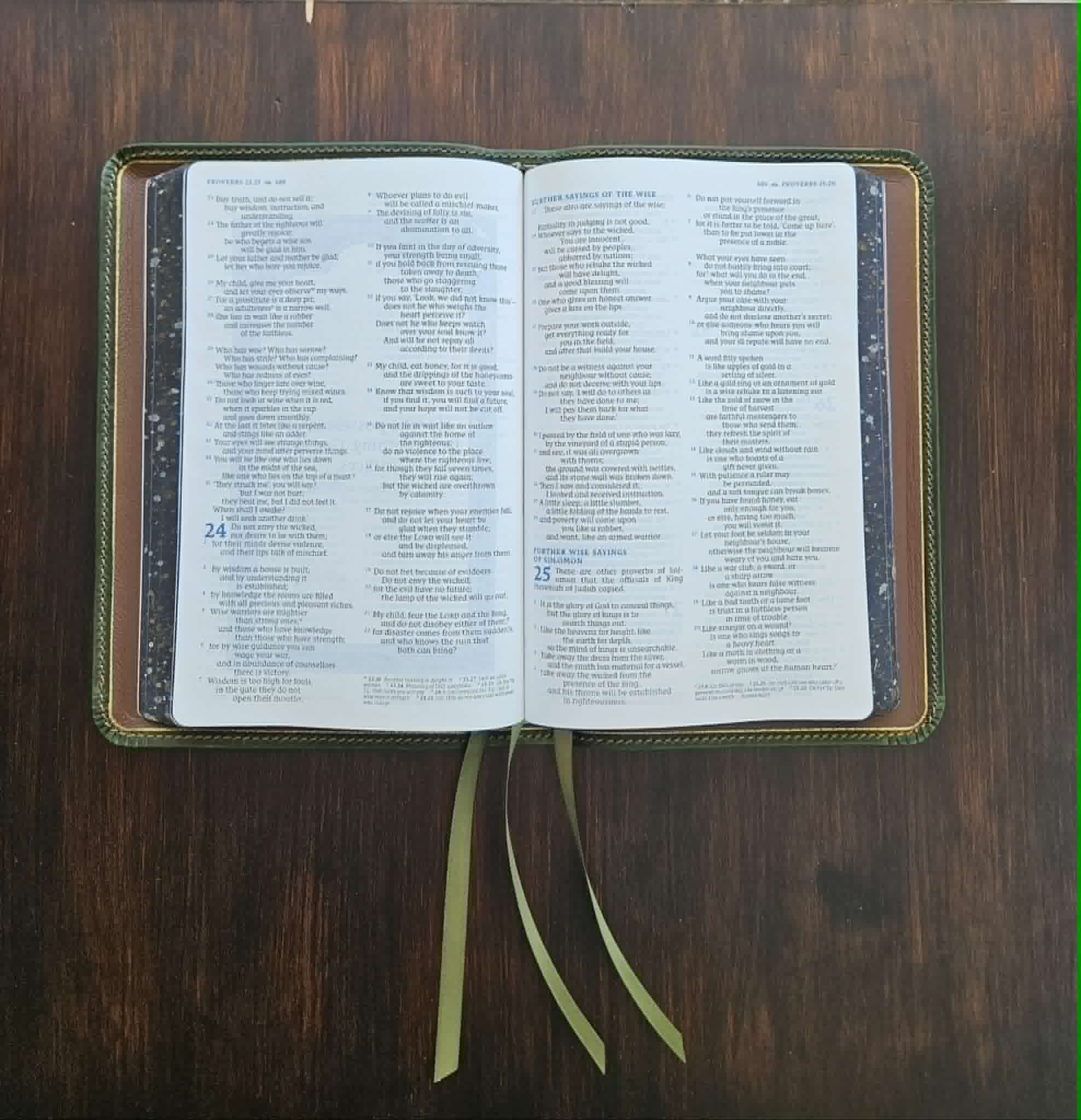 NRSV, Great Quotes Catholic Bible: Holy Bible view 3