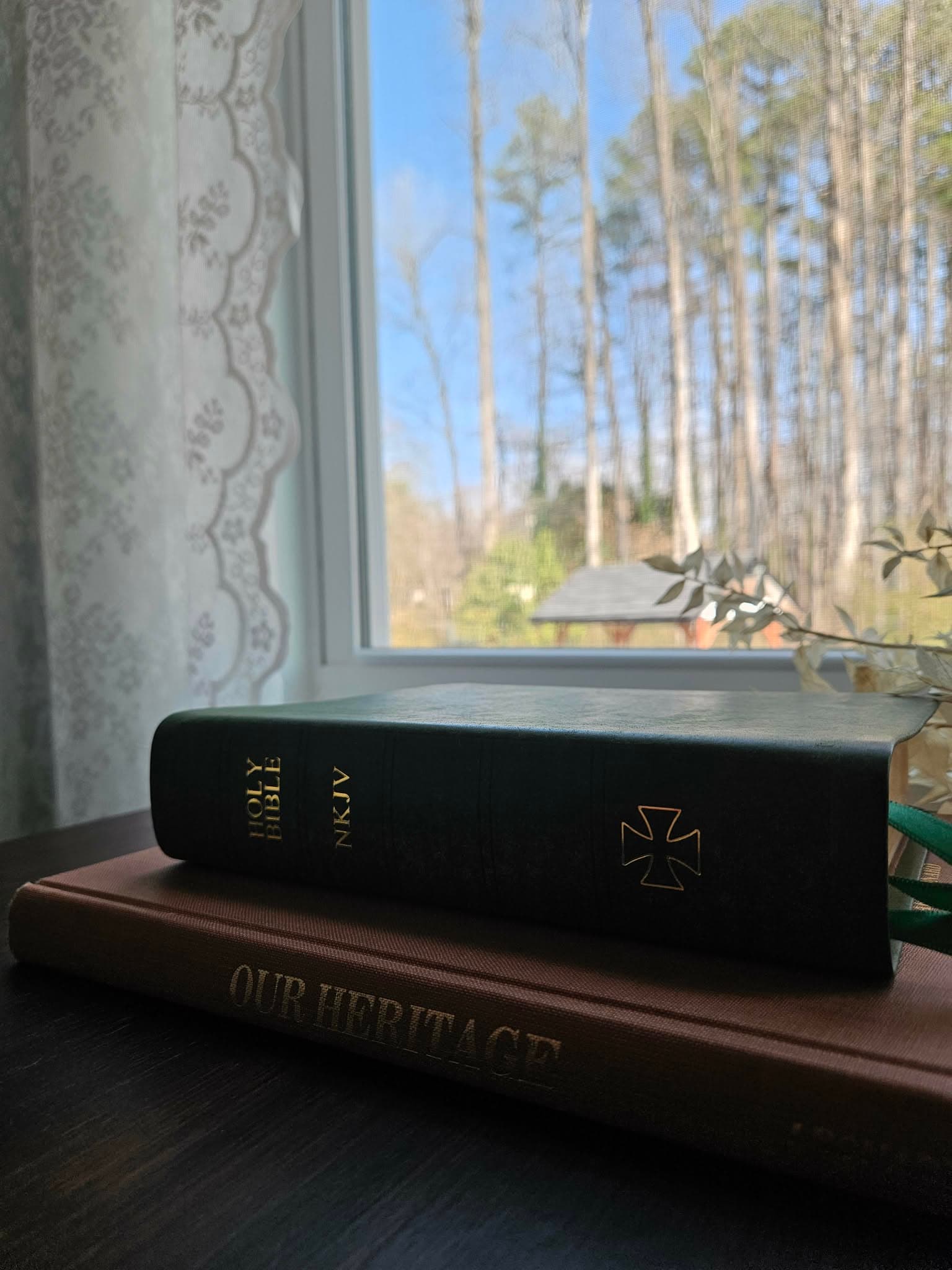 Thomas Nelson - Green NKJV Journaling Bible / Reference Bible / Single Column/ Pueblo Emerald view 9