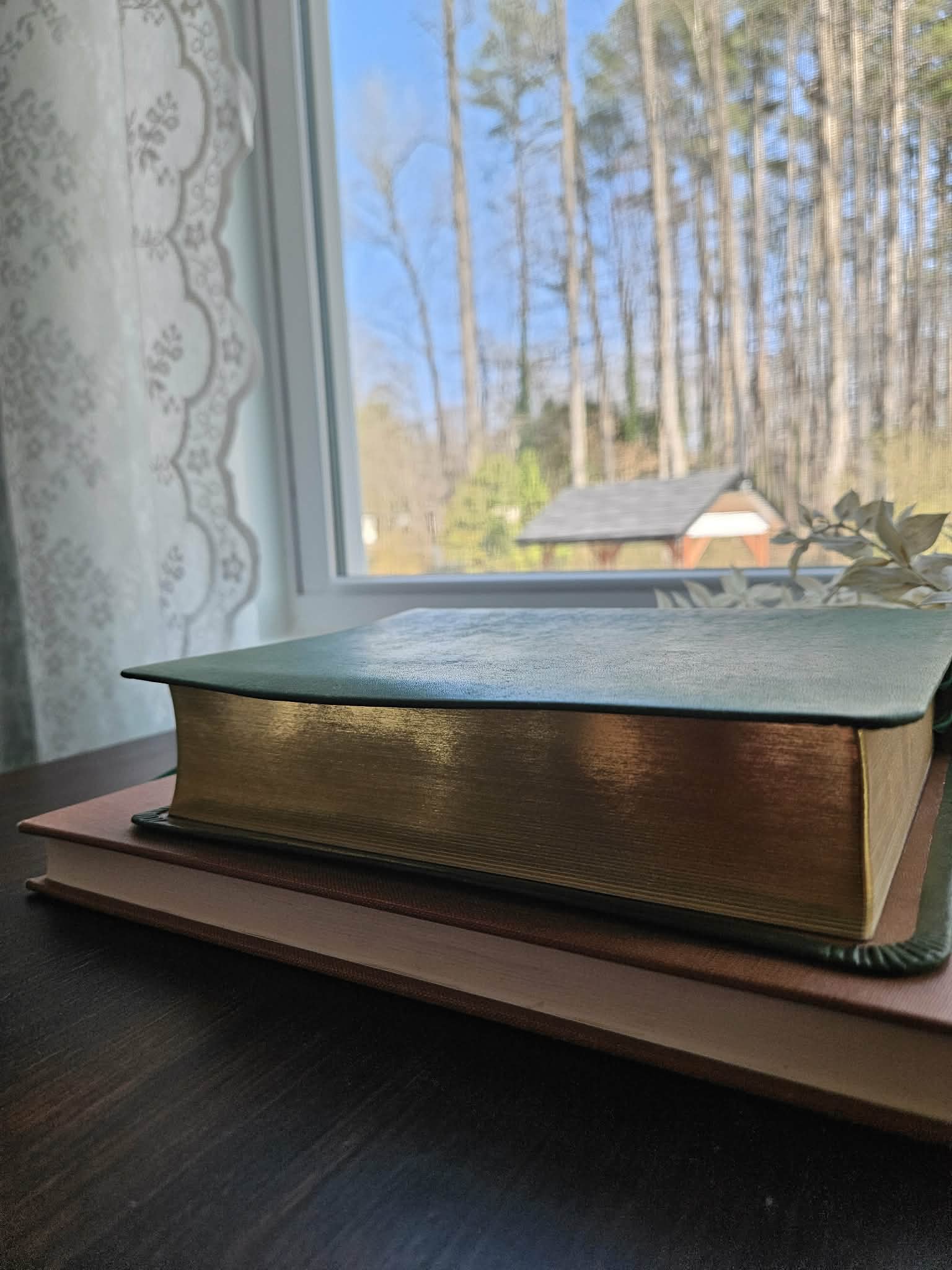 Thomas Nelson - Green NKJV Journaling Bible / Reference Bible / Single Column/ Pueblo Emerald view 7