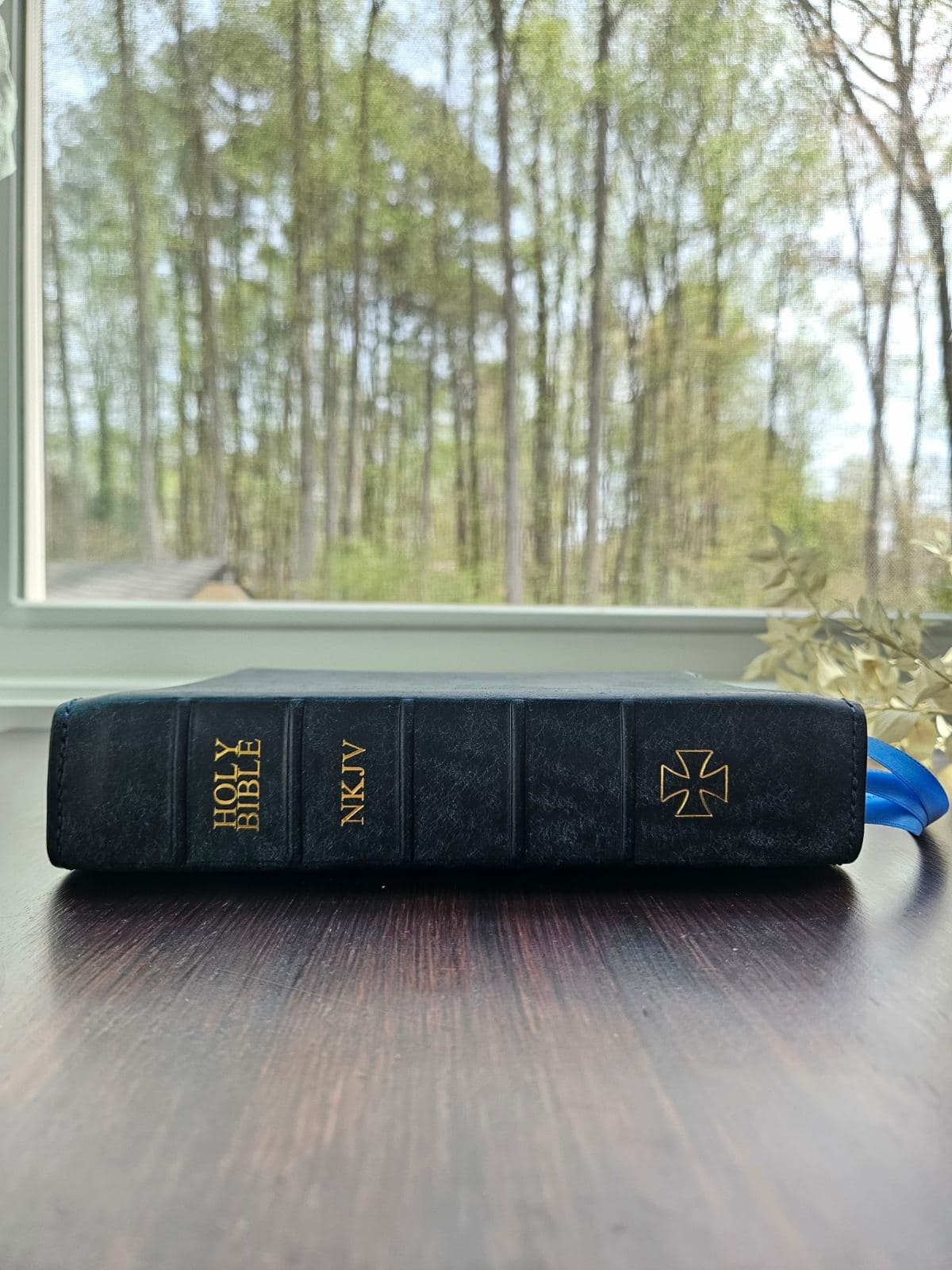 Thomas Nelson- NKJV Journal the word Reference Bible - Pueblo Sapphire view 3