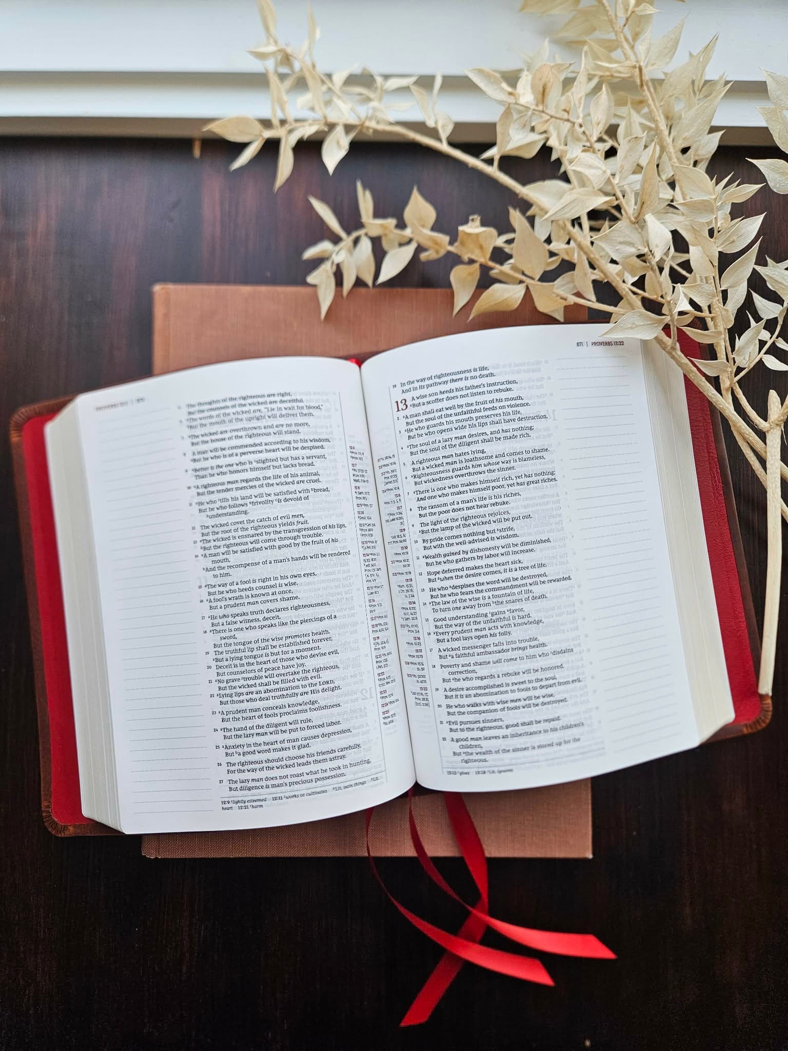 Thomas Nelson- NKJV Journaling Bible / Reference Bible / Single Column/ Waxy Olmo, Nappa Lamb Red view 4