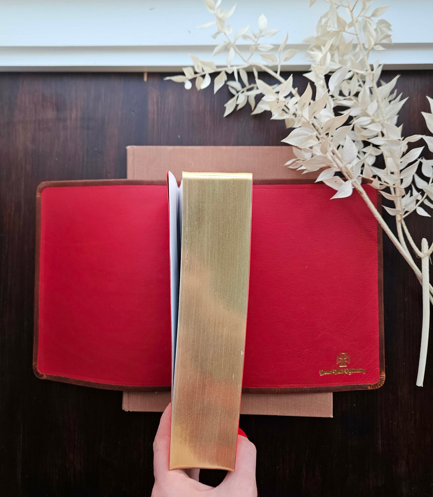 Thomas Nelson- NKJV Journaling Bible / Reference Bible / Single Column/ Waxy Olmo, Nappa Lamb Red view 2
