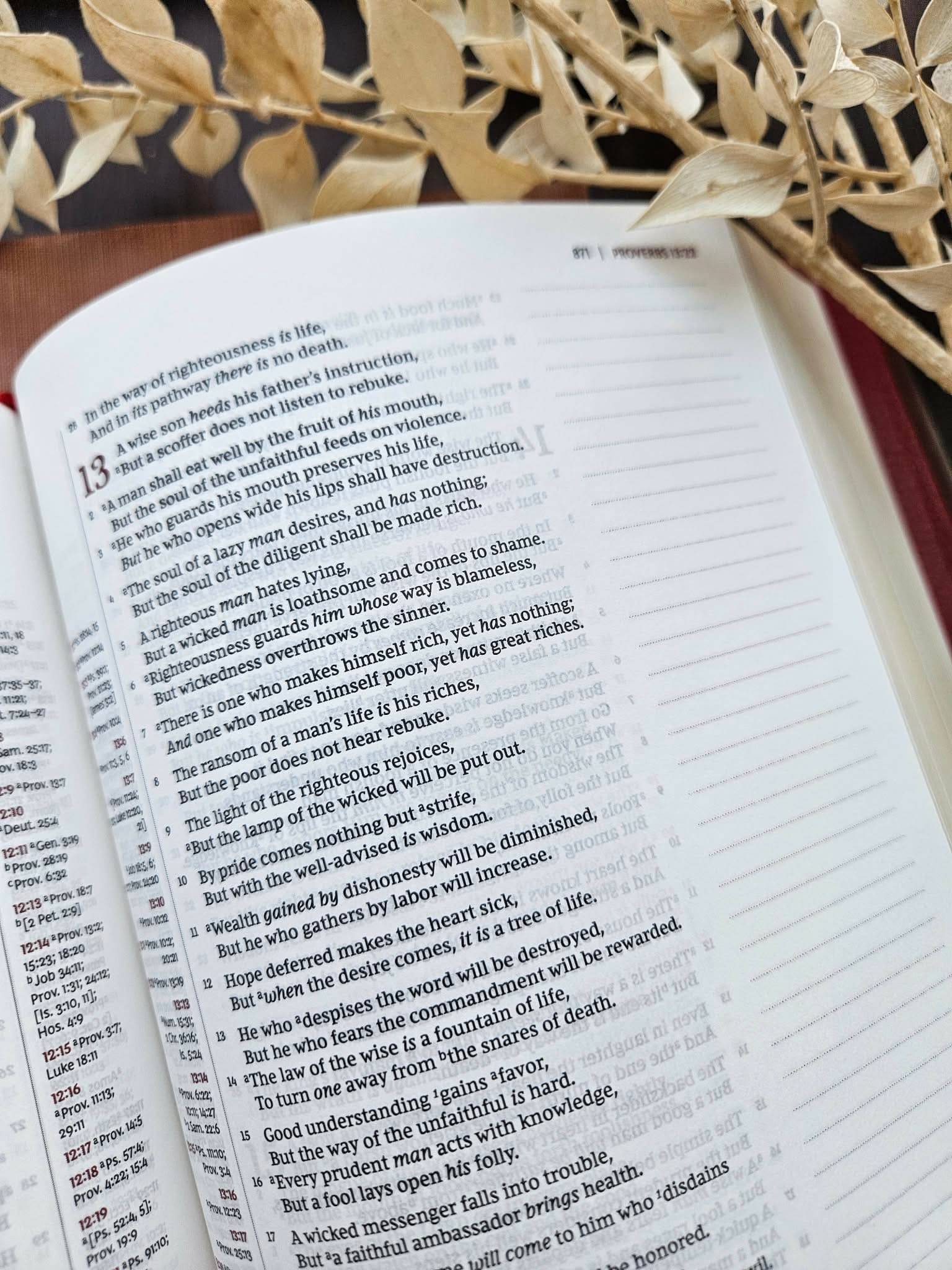 Thomas Nelson- NKJV Journaling Bible / Reference Bible / Single Column/ Waxy Olmo, Nappa Lamb Red view 3