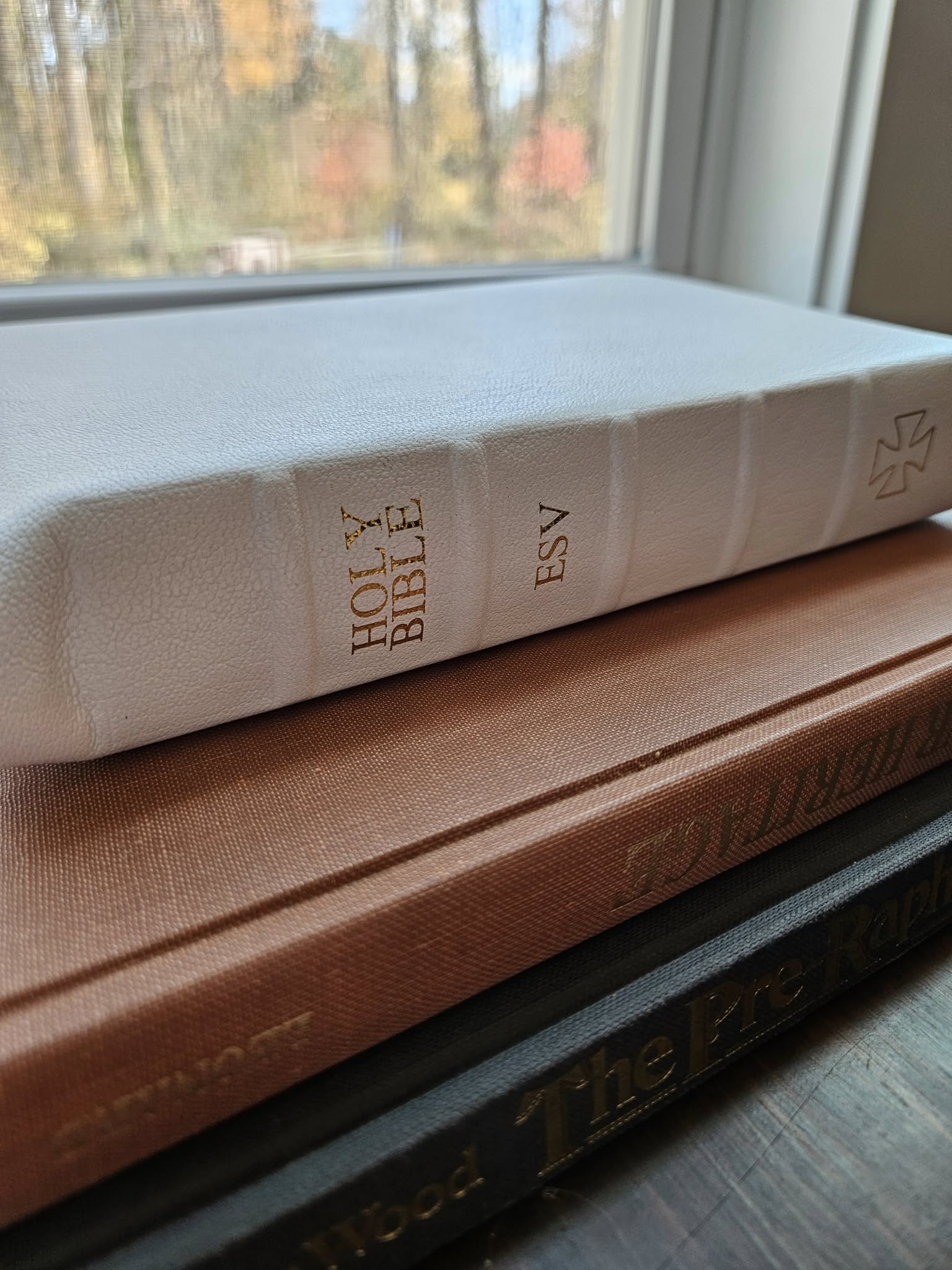 Gallery Bible