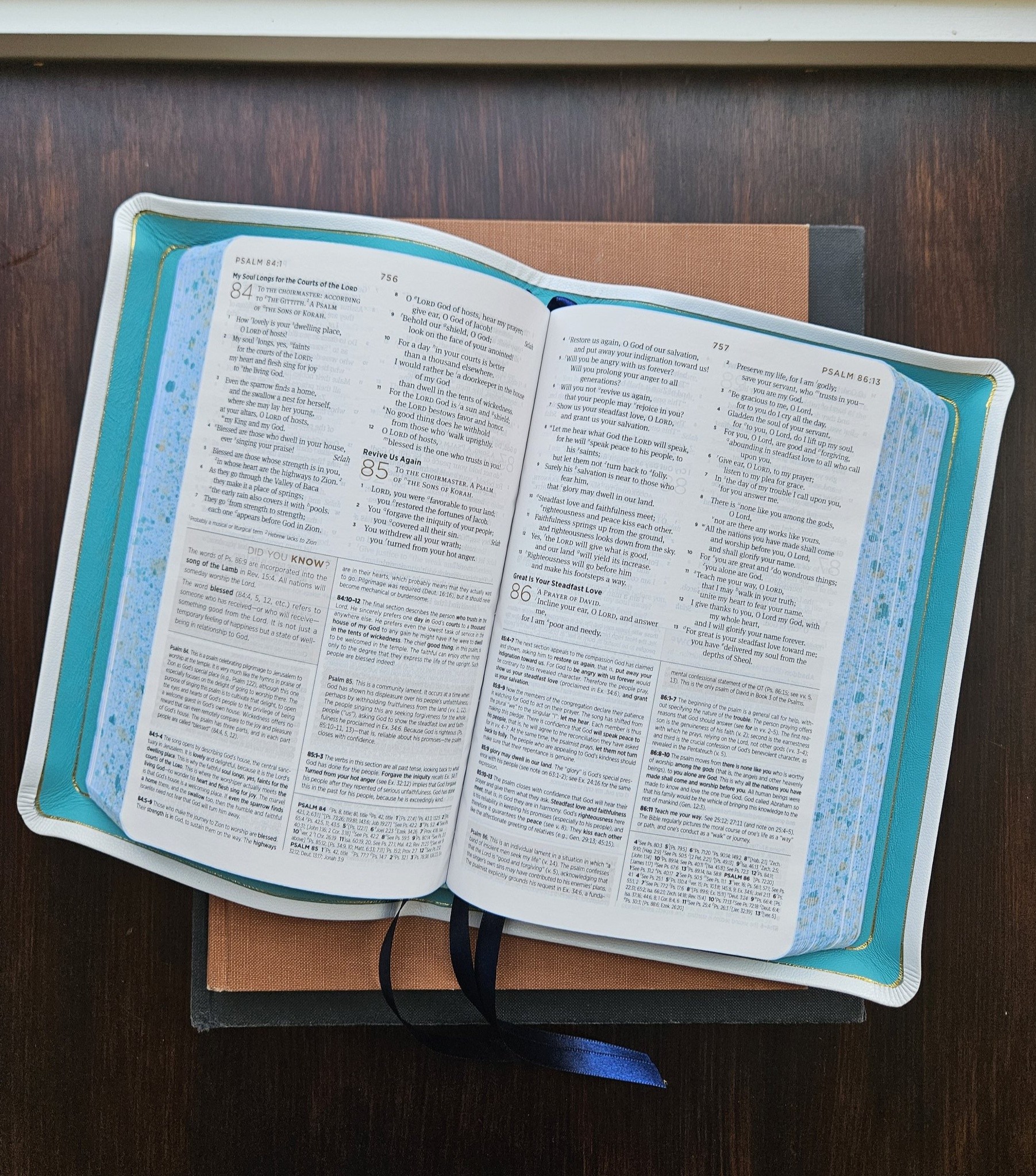 Gallery Bible