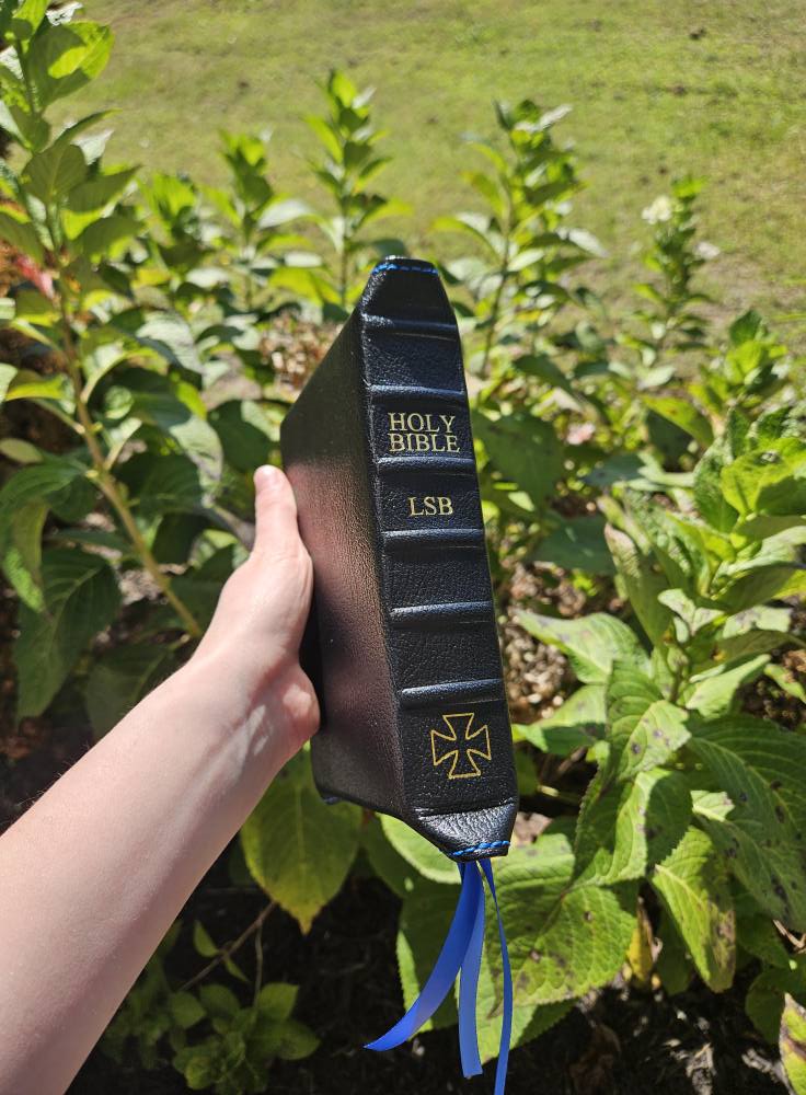 Stack of Premium Rebound Bibles